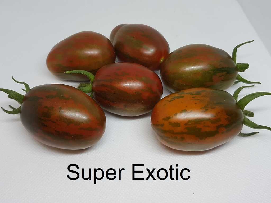 Super Exotic
